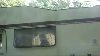 Šviesūs turi šokinėti ant didelis gaidys