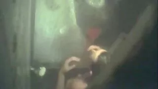 Po vakarienės vyras ir draugai paliko gražią žmoną apskritime