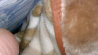 Merginos įdėti savo asilai pagal dvi penises