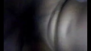 Akiniai Amateur vis dar yra asilas su džiaugsmu duoti