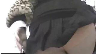 Šviesūs gaidys iš minios įvairių bičiukai
