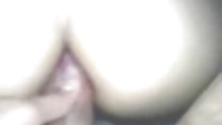 Įdėta cutie