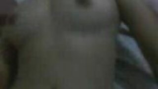Codi vore