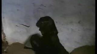 Cumshot Ant Asilo